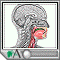 Swallowing