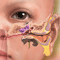 After your child's ear tube surgery