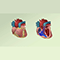 Congenital heart defects (CHD) overview