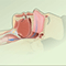 Central sleep apnea (CSA)